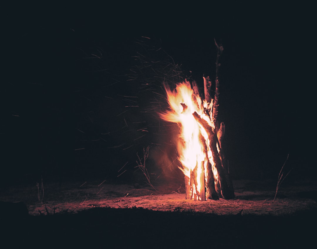 Photo bonfire
