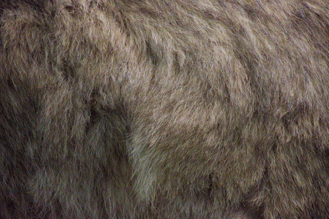 Photo fur vest